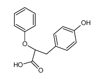 (+/-)-2-phenoxy-3-(4-hydroxy-phenyl)-propionic acid Structure