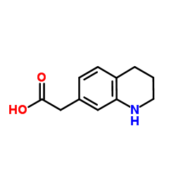 1,2,3,4-Tetrahydro-7-quinolinylacetic acid Structure