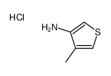 4-methylthiophen-3-amine,hydrochloride structure