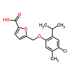 5-[(4-Chloro-2-isopropyl-5-methylphenoxy)methyl]-2-furoic acid图片