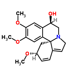 刺桐阿亭图片