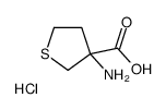 3-AMINO-TETRAHYDRO-THIOPHENE-3-CARBOXYLIC ACID HYDROCHLORIDE picture