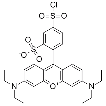 lissamine rhodamine b sulfonyl chloride Structure