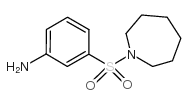 3-(氮杂烷-1-磺酰基)-苯胺图片