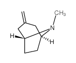 8-methyl-3-methylidene-8-azabicyclo[3.2.1]octane Structure