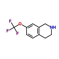 7-TRIFLUOROMETHOXY-1,2,3,4-TETRAHYDRO-ISOQUINOLINE Structure