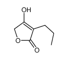 3-hydroxy-4-propyl-2H-furan-5-one Structure