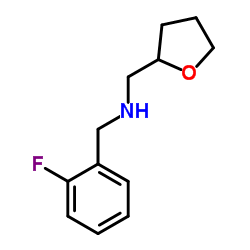 (2-FLUORO-BENZYL)-(TETRAHYDRO-FURAN-2-YLMETHYL)-AMINE结构式