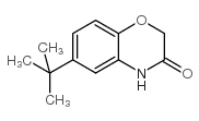 6-(tert-Butyl)-2H-1,4-benzoxazin-3(4H)-one结构式