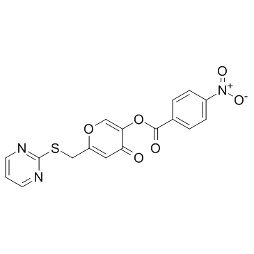 ML 221 Structure