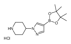 4-[4-(4,4,5,5-tetramethyl-1,3,2-dioxaborolan-2-yl)pyrazol-1-yl]piperidine,hydrochloride structure