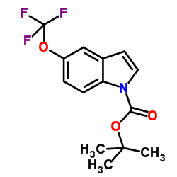 5-trifluoromethoxy-N-Boc-indole picture