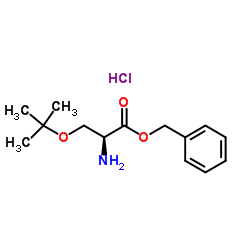 O-叔丁基-苄酯-L-丝氨酸盐酸盐图片