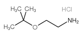 2-[(2-methylpropan-2-yl)oxy]ethanamine,hydrochloride Structure