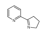 邻肌氨酸图片