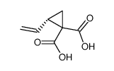 53376-54-8 structure