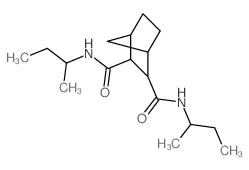 2,3-Norbornanedicarboxamide,N,N'-di-sec-butyl-, trans- (8CI)结构式