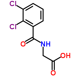 N-(2,3-Dichlorobenzoyl)glycine Structure