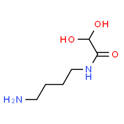 Acetamide, N-(4-aminobutyl)-2,2-dihydroxy- (9CI) picture