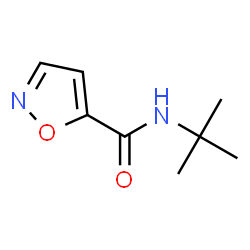 5-Isoxazolecarboxamide,N-(1,1-dimethylethyl)-(9CI) picture