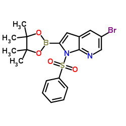 5-Bromo-1-(phenylsulfonyl)-2-(4,4,5,5-tetramethyl-1,3,2-dioxaborolan-2-yl)-1H-pyrrolo[2,3-b]pyridine Structure