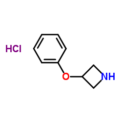 3-苯氧基氮杂环丁烷盐酸盐图片