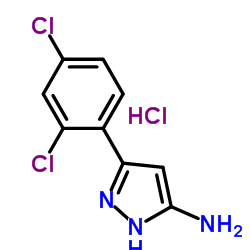 3-(2,4-Dichlorophenyl)-1H-pyrazol-5-amine hydrochloride (1:1)结构式