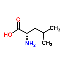 Poly-L-leucine structure