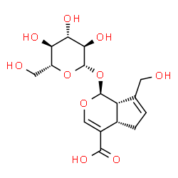 (1S,2S,6S)-9-(hydroxymethyl)-2-[(2S,3R,4S,5R,6R)-3,4,5-trihydroxy-6-(hydroxymethyl)oxan-2-yl]oxy-3-oxabicyclo[4.3.0]nona-4,8-diene-5-carboxylic acid Structure