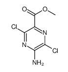 methyl 5-amino-3,6-dichloropyrazine-2-carboxylate图片