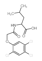 (2S)-4-methyl-2-[[2-(2,4,5-trichlorophenoxy)acetyl]amino]pentanoic acid结构式