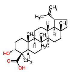 3α-Hydroxy-lup-20(29)-en-24-oic acid picture