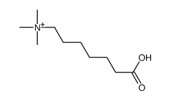 6-carboxyhexyl(trimethyl)azanium结构式