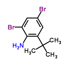 2,4-Dibromo-6-(2-methyl-2-propanyl)aniline图片