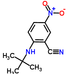 2-(tert-butylamino)-5-nitrobenzonitrile picture
