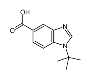 1-t-Butyl-benzoimidazole-5-carboxylic acid picture