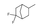 Bicyclo[2.2.1]heptane, 2,2-difluoro-5-methyl- (9CI)结构式