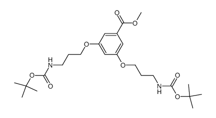 3,5-BIS[3-(TERT-BUTYLOXYCARBONYLAMINO)PROPYLOXY]BENZOIC ACID,98 picture