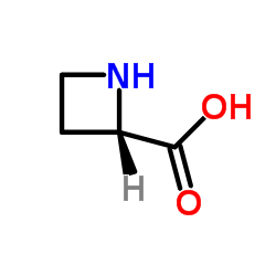 2133-34-8结构式