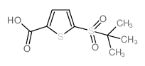 5-(2-Methyl-propane-2-sulfonyl)-thiophene-2-carboxylic acid结构式