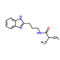 N-[3-(1H-Benzimidazol-2-yl)propyl]-2-methylpropanamide Structure