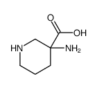 3-aminopiperidine-3-carboxylic acid Structure