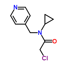 2-Chloro-N-cyclopropyl-N-(4-pyridinylmethyl)acetamide picture