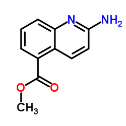 Methyl 2-amino-5-quinolinecarboxylate Structure