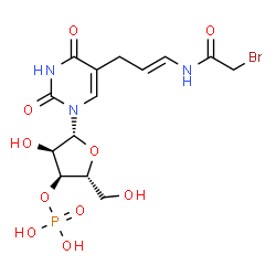 5-(3-(bromoacetamido)allyl)uridine-3'-monophosphate picture