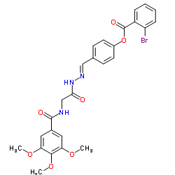 339272-02-5 structure