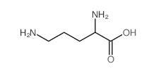 2,5-diaminopentanoic acid,hydrobromide结构式