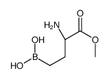 Butanoic acid, 2-amino-4-borono-, 1-methyl ester, (2S)- (9CI)结构式