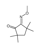 (E)-5-(methoxyimino)-2,2,4,4-tetramethylcyclopentanone结构式