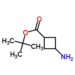 tert-Butyl 3-aminocyclobutanecarboxylate structure